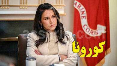 tulsi gabbard