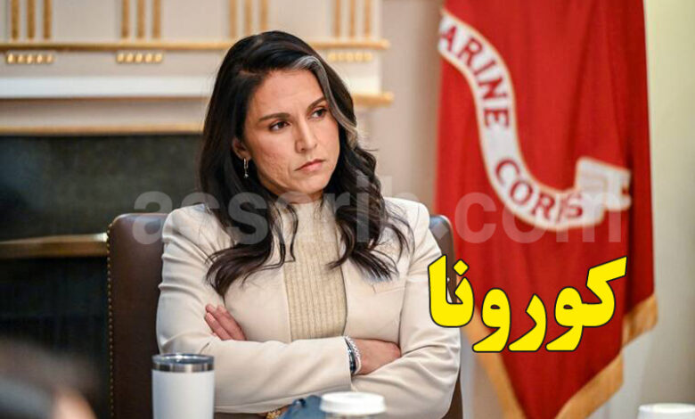 tulsi gabbard
