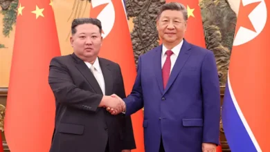 xi jinping kim jong un