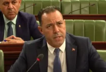 Ali Zaghoud