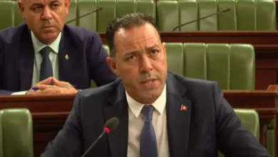 Ali Zaghoud