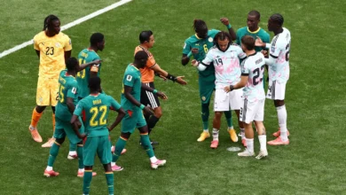 Belgique vs sénegal