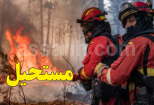 La région de Madrid face au _pire incendie de son histoire_