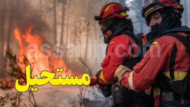 La région de Madrid face au _pire incendie de son histoire_