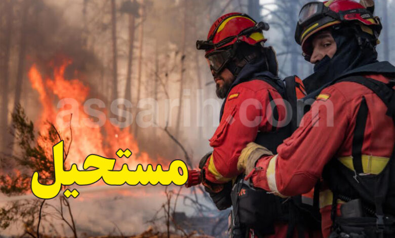 La région de Madrid face au _pire incendie de son histoire_