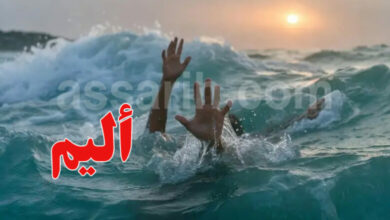 Noyade-780x470