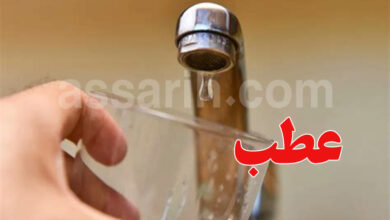 SONED