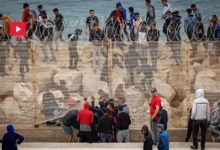 Sibta Maroc immigration