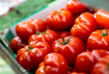 Tomate