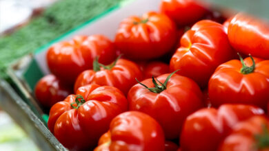 Tomate