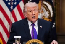 Trump (17)