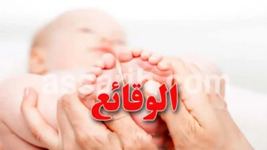 bebe-780x470-2