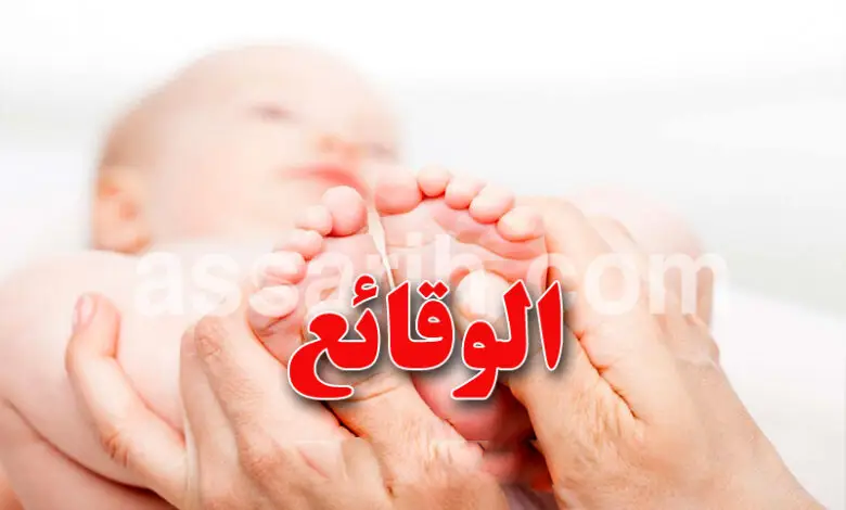 bebe-780x470-2