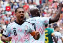 belgique foot vs senegal (1)