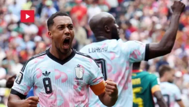 belgique foot vs senegal (1)