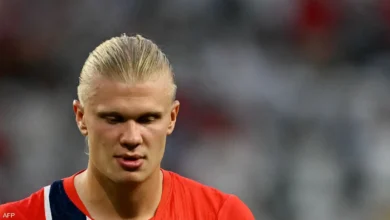 erling haaland (2)