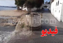 hammamet tunis