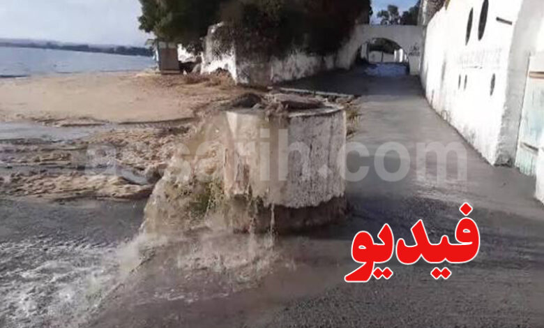 hammamet tunis