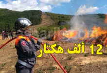 incendie