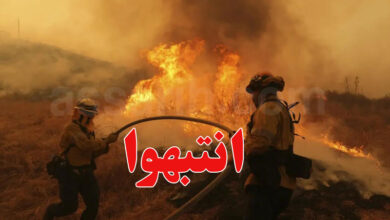 incendie foret