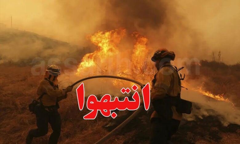 incendie foret