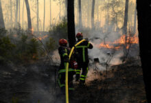 incendie tunisie