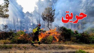 incendie tunisie