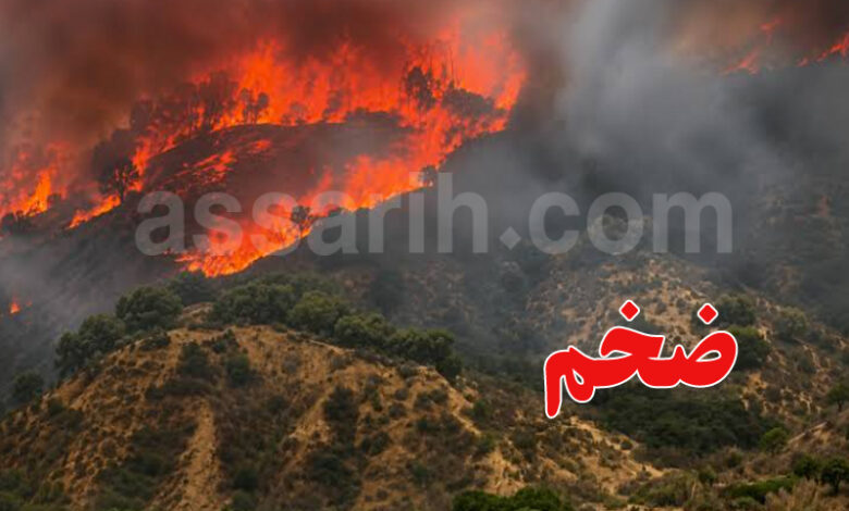 incendie tunisie