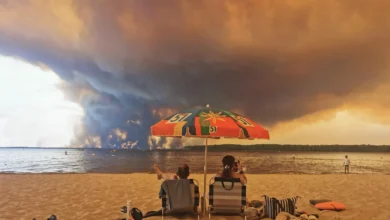 incendies Forets France