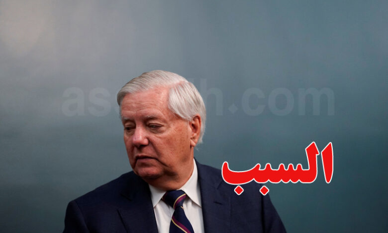 lindsey graham