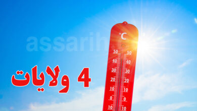 meteo