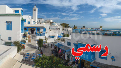 sidi bou said
