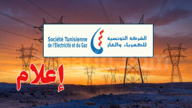 société tunisienne d'électricité et de gaz