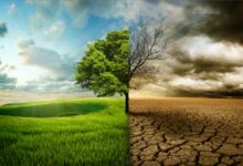Climate Change
