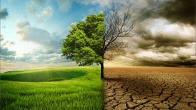 Climate Change