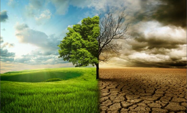 Climate Change