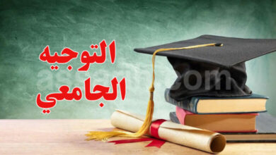 Conseils universitaires