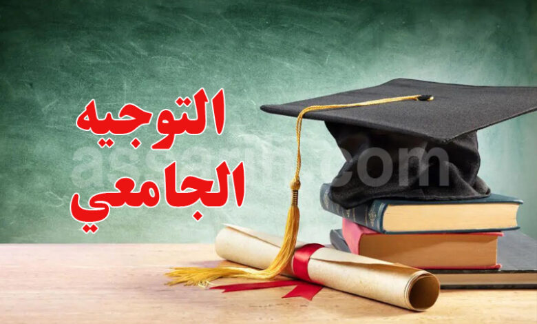 Conseils universitaires