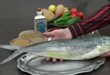 Coryphène Lambouka poisson