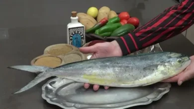 Coryphène Lambouka poisson