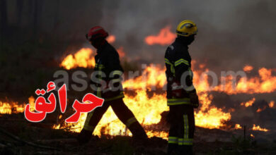 Incendie-en-Gironde-France-1-780x470