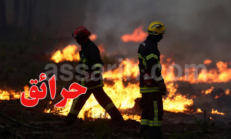 Incendie-en-Gironde-France-1-780x470