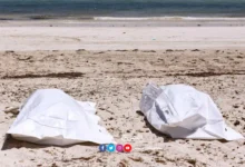 Les cadavres