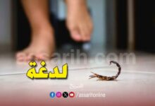Piqure-de-scorpion-780x470