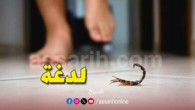 Piqure-de-scorpion-780x470