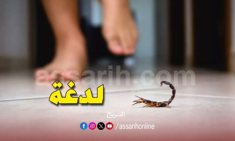 Piqure-de-scorpion-780x470
