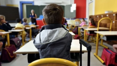 Réforme de l'enseignement en Tunisie