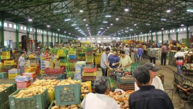 Société des marchés de gros tunisiens