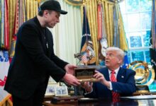Trump Elon Musk