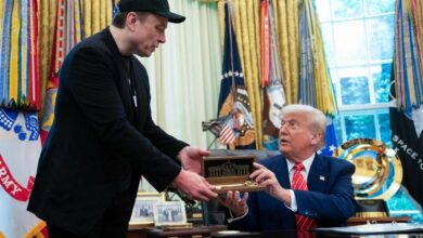 Trump Elon Musk
